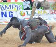 MalickSathies - Senenews - Actualité au Sénégal, Politique, Économie, Sport