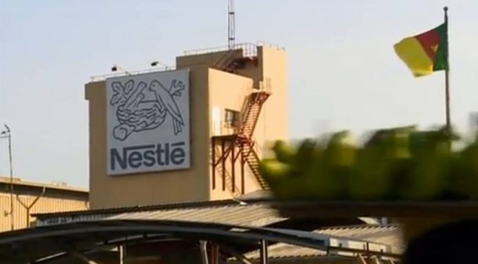 nestle - Senenews - Actualité au Sénégal, Politique, Économie, Sport