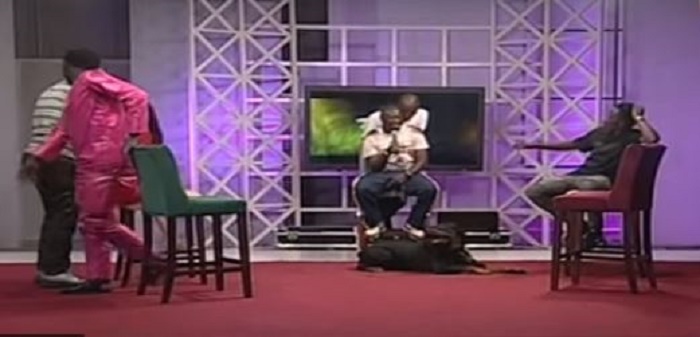 Vidéo : Un chien sème la panique dans un plateau de la 2sTv- Regardez 1 plateau 2st - Senenews - Actualité au Sénégal, Politique, Économie, Sport