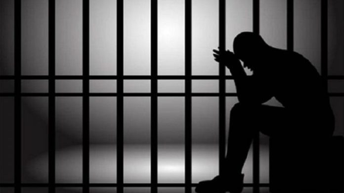 prison 1 - Senenews - Actualité au Sénégal, Politique, Économie, Sport