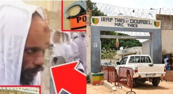 collage sans titre 30 - Senenews - Actualité au Sénégal, Politique, Économie, Sport
