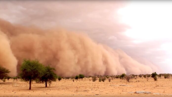 Un impressionnant mur de sable aperçu à Matam, les explications de l'Anacim sur ce phénomène dangereux (images) 1 maxresdefault 20 - Senenews - Actualité au Sénégal, Politique, Économie, Sport