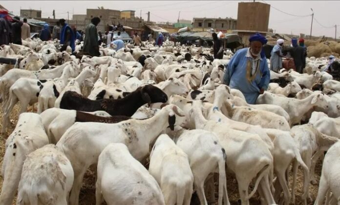 whatsapp image 2023 06 20 at 17.05.09 - Senenews - Actualité au Sénégal, Politique, Économie, Sport