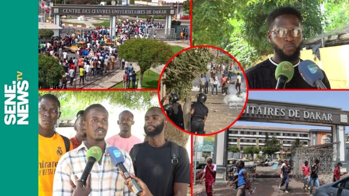 whatsapp image 2024 10 21 at 15.48.23 - Senenews - Actualité au Sénégal, Politique, Économie, Sport