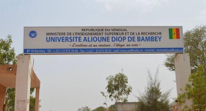 img 2731 - Senenews - Actualité au Sénégal, Politique, Économie, Sport