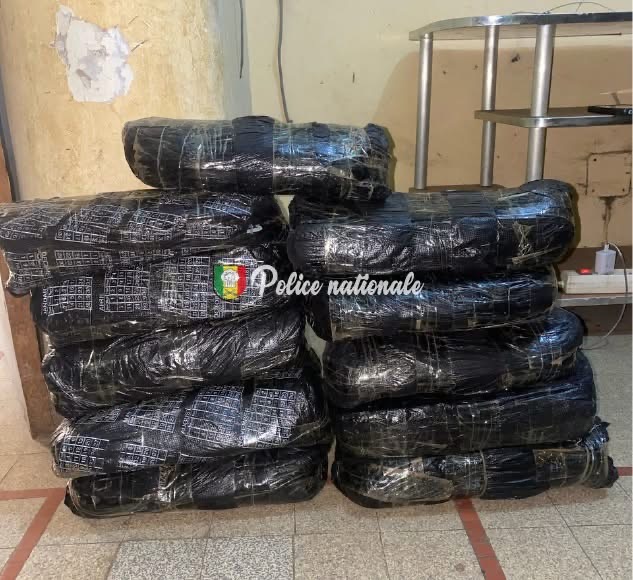 img 7595 - Senenews - Actualité au Sénégal, Politique, Économie, Sport